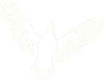 BunjilView — Bunjil the eagle